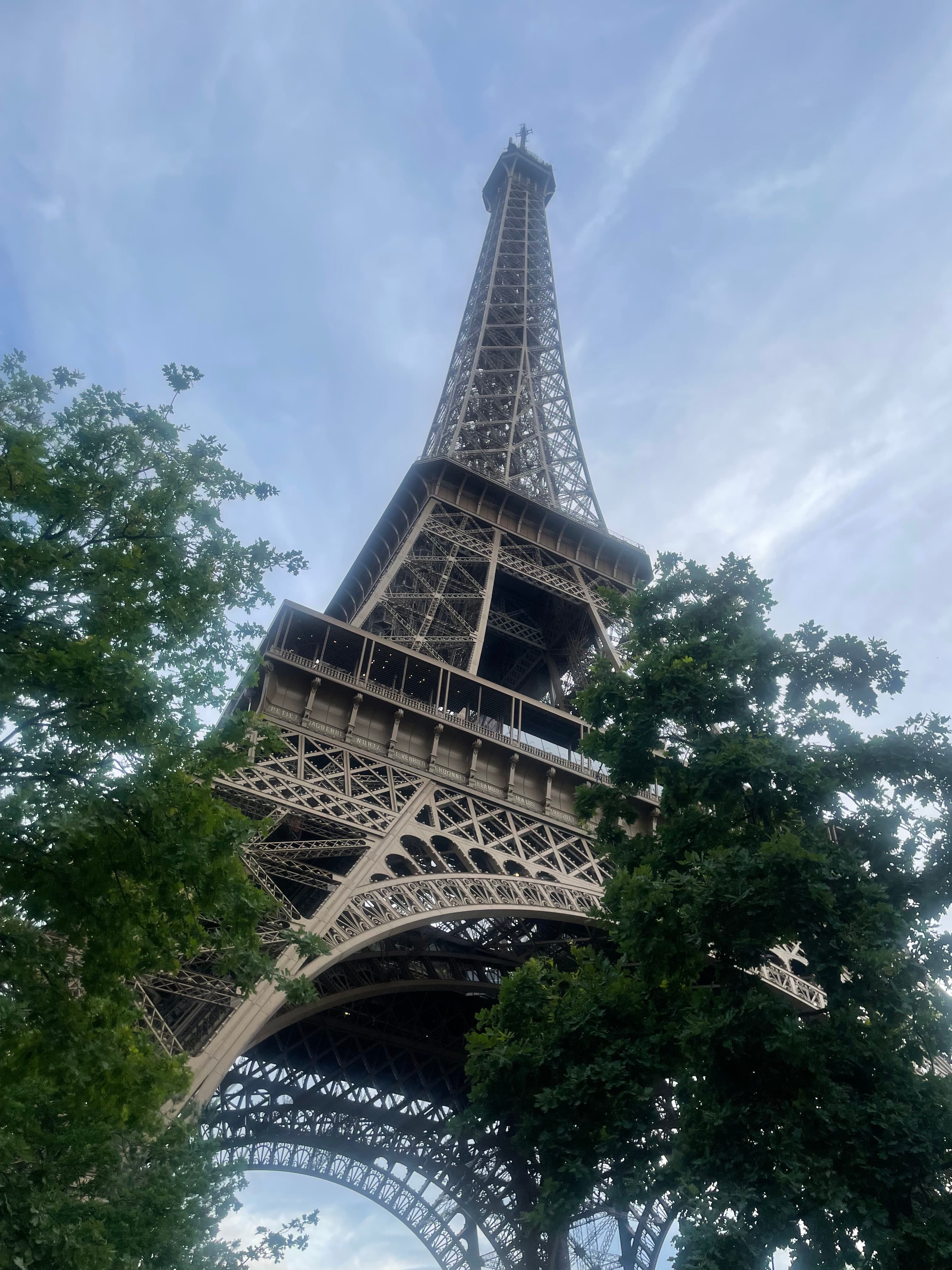 Enchantée — Paris, 2026 - Image 3