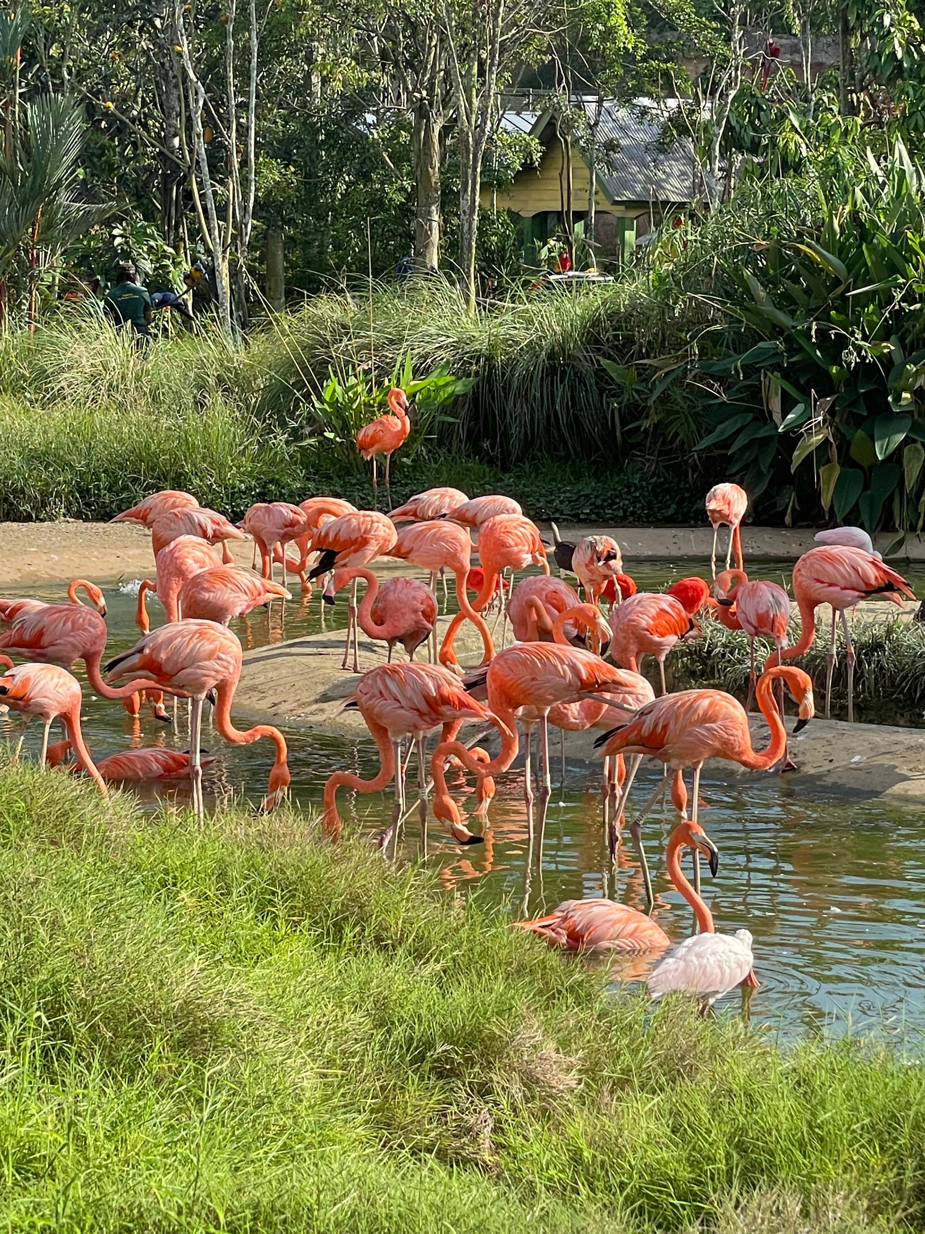 Touched grass — Singapore, 2025