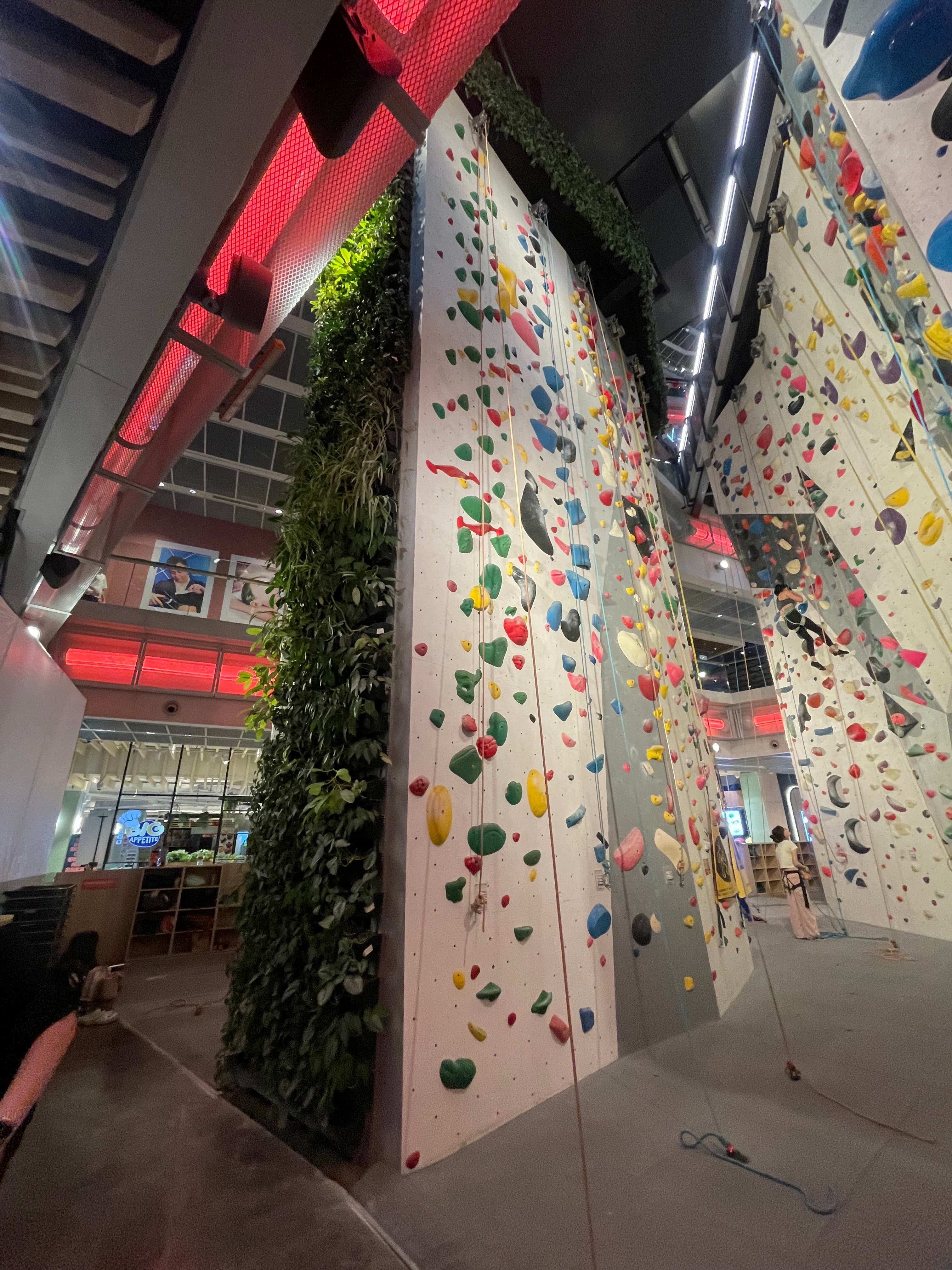 Touched grass — Singapore, 2025 - Image 3